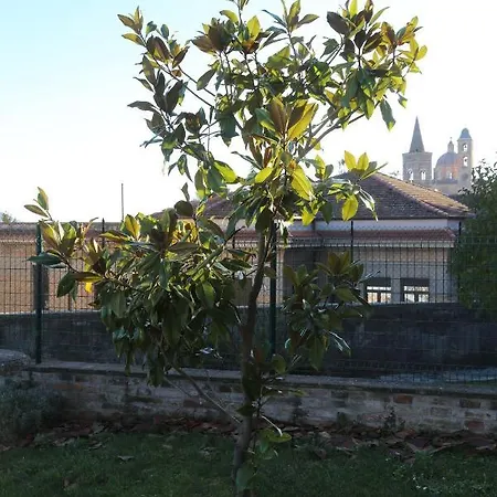 Palazzo Genga Urbino